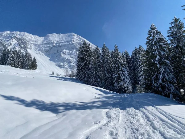 Wonderful Winter Hiking Trails Traces Slopes Alpstein Mountain Range Fresh — ストック写真