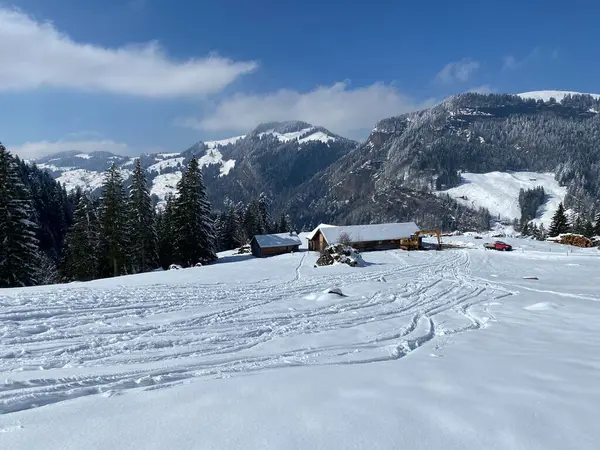 Alpstein dağlarının yamaçlarında ve İsviçre Alpleri 'nin taze dağlık kar örtüsünde, Nesslau - Obertoggenburg, İsviçre (Schweiz)