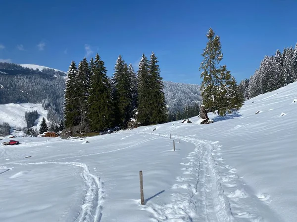 Wonderful Winter Hiking Trails Traces Slopes Alpstein Mountain Range Fresh — Photo