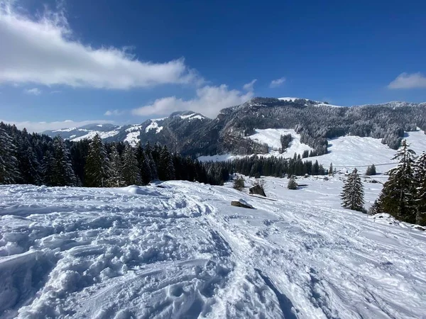Wspaniałe Zimowe Szlaki Turystyczne Szlaki Zboczach Pasma Górskiego Alpstein Świeżym — Zdjęcie stockowe