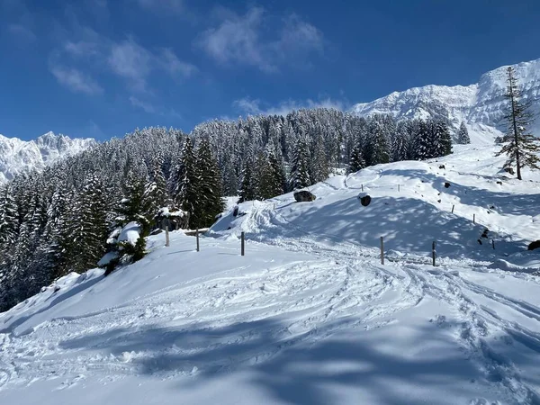 Alpstein Dağlarının Yamaçlarında Sviçre Alpleri Nin Taze Dağlık Kar Örtüsünde — Stok fotoğraf