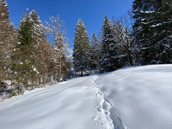 Prachtige Winterwandelwegen Sporen Hellingen Van Alpstein Bergketen Frisse Alpiene Sneeuwbedekking — Stockfoto