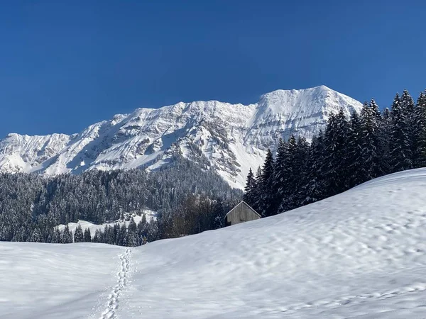 Wonderful Winter Hiking Trails Traces Slopes Alpstein Mountain Range Fresh — стоковое фото