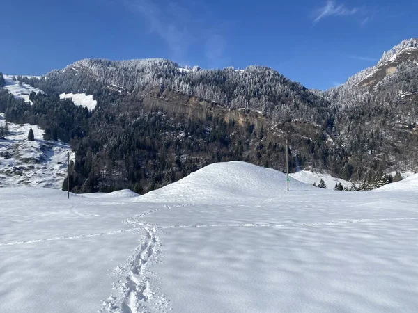 在阿尔卑斯泰因山脉的斜坡上 以及在瑞士尼斯劳 奥伯托根堡 施韦兹 的高山雪地上 都有极好的冬季远足小径和小径 — 图库照片