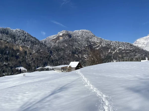 素晴らしい冬のハイキングコースとアルプシュタイン山脈の斜面やスイスアルプス ネスラウの新鮮な高山雪のカバーでの痕跡 Obertoggenburg Switzerland スイス — ストック写真