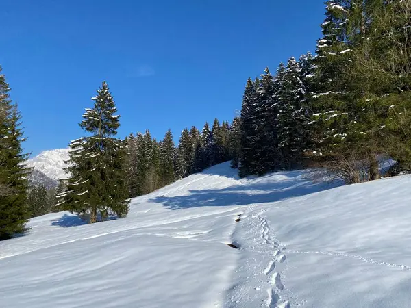 Wonderful Winter Hiking Trails Traces Slopes Alpstein Mountain Range Fresh — Foto Stock