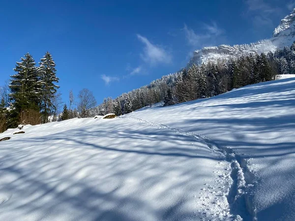Wunderschöne Winterwanderwege Und Spuren Den Hängen Des Alpsteingebirges Und Der — Stockfoto
