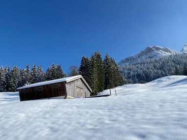 İsviçre çayırlarındaki yerli dağ kulübeleri ve ahşap ahırlar taze beyaz kar örtüsüyle kaplıdır, Nesslau - Obertoggenburg, İsviçre (Schweiz)