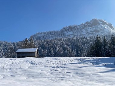 İsviçre çayırlarındaki yerli dağ kulübeleri ve ahşap ahırlar taze beyaz kar örtüsüyle kaplıdır, Nesslau - Obertoggenburg, İsviçre (Schweiz)