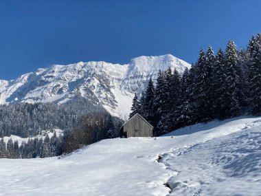 İsviçre çayırlarındaki yerli dağ kulübeleri ve ahşap ahırlar taze beyaz kar örtüsüyle kaplıdır, Nesslau - Obertoggenburg, İsviçre (Schweiz)