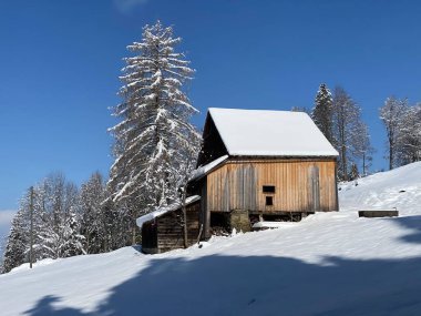 İsviçre çayırlarındaki yerli dağ kulübeleri ve ahşap ahırlar taze beyaz kar örtüsüyle kaplıdır, Nesslau - Obertoggenburg, İsviçre (Schweiz)