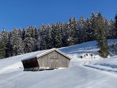 İsviçre çayırlarındaki yerli dağ kulübeleri ve ahşap ahırlar taze beyaz kar örtüsüyle kaplıdır, Nesslau - Obertoggenburg, İsviçre (Schweiz)