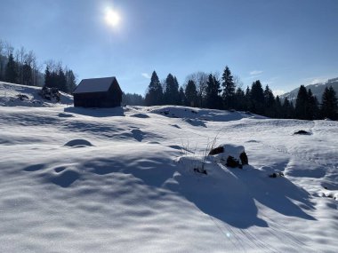 İsviçre çayırlarındaki yerli dağ kulübeleri ve ahşap ahırlar taze beyaz kar örtüsüyle kaplıdır, Nesslau - Obertoggenburg, İsviçre (Schweiz)
