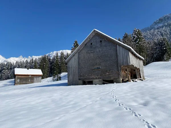 Inheemse Hutten Houten Rundveestallen Zwitserse Weiden Bedekt Met Verse Witte — Stockfoto