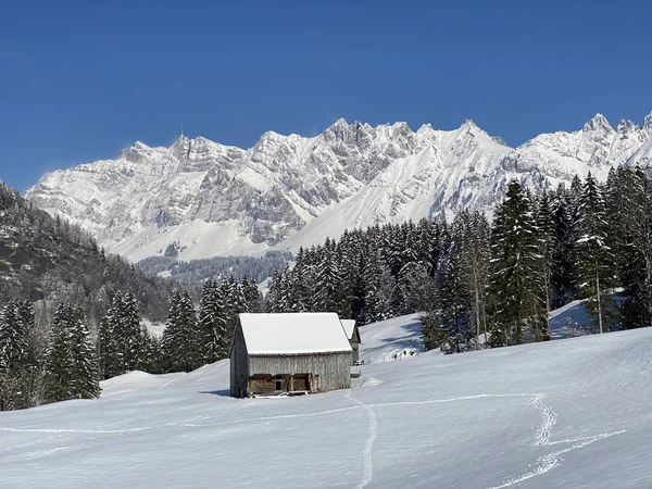 Cabañas Alpinas Indígenas Establos Madera Pastos Suizos Cubiertos Nieve Blanca — Foto de Stock