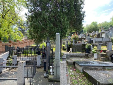 Karadjordje Tepesi / Smederevsko Staro groblje na Karadjordjevom brdu ili Staro groblje u Smederevu, Smederevo - Sırbistan (Srbija)