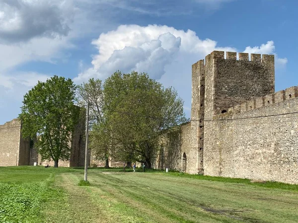 Mittelalterliche Festungsstadt Smederevo Oder Festung Smederevo Aus Dem Jahrhundert Smederevska — Stockfoto