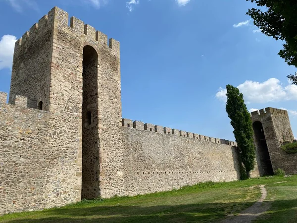 Ciudad Fortificada Medieval Fortaleza Smederevo Fortaleza Del Siglo Smederevo Smederevska —  Fotos de Stock