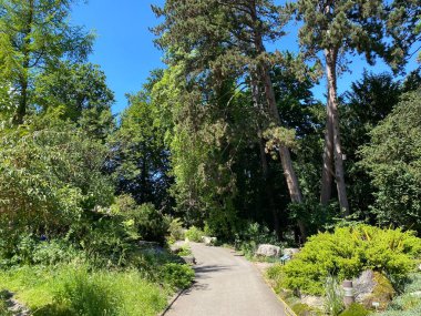 Zürih Üniversitesi Botanik Bahçesi veya Botanischer Garten der Universitat Zürih (Botanischer Garten der Universitat Zürih - Botanischer Garten der Universitaet Zuerich), İsviçre