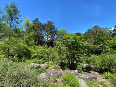 Zürih Üniversitesi Botanik Bahçesi veya Botanischer Garten der Universitat Zürih (Botanischer Garten der Universitat Zürih - Botanischer Garten der Universitaet Zuerich), İsviçre