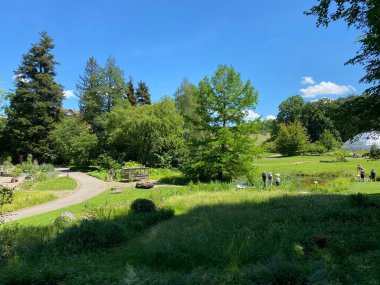 Zürih Üniversitesi Botanik Bahçesi veya Botanischer Garten der Universitat Zürih (Botanischer Garten der Universitat Zürih - Botanischer Garten der Universitaet Zuerich), İsviçre