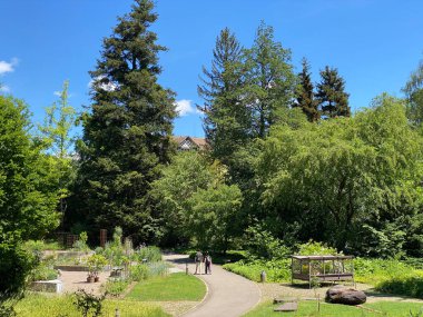Zürih Üniversitesi Botanik Bahçesi veya Botanischer Garten der Universitat Zürih (Botanischer Garten der Universitat Zürih - Botanischer Garten der Universitaet Zuerich), İsviçre