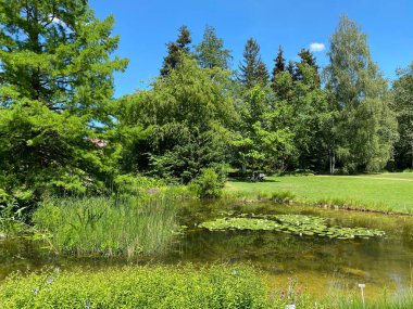Zürih Üniversitesi Botanik Bahçesi veya Botanischer Garten der Universitat Zürih (Botanischer Garten der Universitat Zürih - Botanischer Garten der Universitaet Zuerich), İsviçre