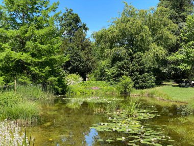 Zürih Üniversitesi Botanik Bahçesi veya Botanischer Garten der Universitaet Zuerich (Botanischer Garten der Universitat Zürih / Botanischer Garten der Universitaet Zuerich), İsviçre