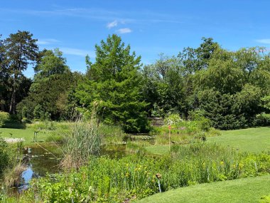 Zürih Üniversitesi Botanik Bahçesi veya Botanischer Garten der Universitaet Zuerich (Botanischer Garten der Universitat Zürih / Botanischer Garten der Universitaet Zuerich), İsviçre