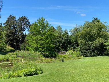 Zürih Üniversitesi Botanik Bahçesi veya Botanischer Garten der Universitaet Zuerich (Botanischer Garten der Universitat Zürih / Botanischer Garten der Universitaet Zuerich), İsviçre