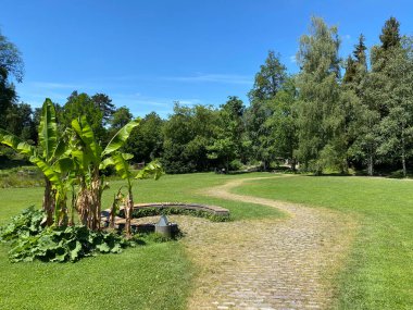 Zürih Üniversitesi Botanik Bahçesi veya Botanischer Garten der Universitaet Zuerich (Botanischer Garten der Universitat Zürih / Botanischer Garten der Universitaet Zuerich), İsviçre
