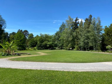 Zürih Üniversitesi Botanik Bahçesi veya Botanischer Garten der Universitaet Zuerich (Botanischer Garten der Universitat Zürih / Botanischer Garten der Universitaet Zuerich), İsviçre