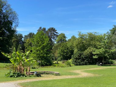 Zürih Üniversitesi Botanik Bahçesi veya Botanischer Garten der Universitaet Zuerich (Botanischer Garten der Universitat Zürih / Botanischer Garten der Universitaet Zuerich), İsviçre