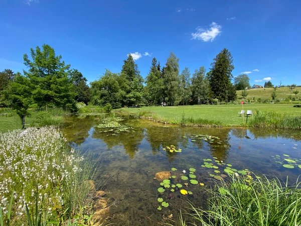Zürih Üniversitesi Botanik Bahçesi veya Botanischer Garten der Universitaet Zuerich (Botanischer Garten der Universitat Zürih / Botanischer Garten der Universitaet Zuerich), İsviçre