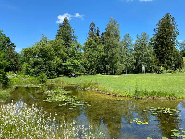 Zürih Üniversitesi Botanik Bahçesi veya Botanischer Garten der Universitaet Zuerich (Botanischer Garten der Universitat Zürih / Botanischer Garten der Universitaet Zuerich), İsviçre