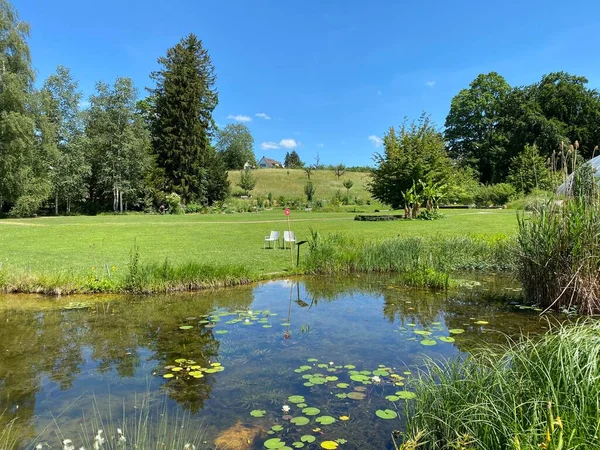 Botanischer Garten Der Universitaet Zuerich Botanischer Garten Der Universitat Zurich — стокове фото