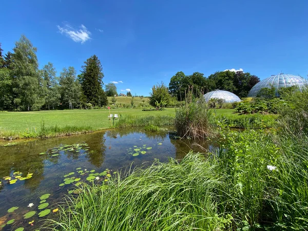 Zürih Üniversitesi Botanik Bahçesi veya Botanischer Garten der Universitaet Zuerich (Botanischer Garten der Universitat Zürih / Botanischer Garten der Universitaet Zuerich), İsviçre
