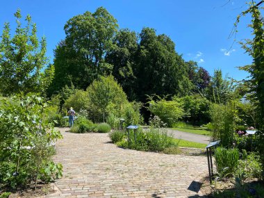 Zürih Üniversitesi Botanik Bahçesi veya Botanischer Garten der Universitat Zürih (Botanischer Garten der Universitat Zürih - Botanischer Garten der Universitaet Zuerich), İsviçre