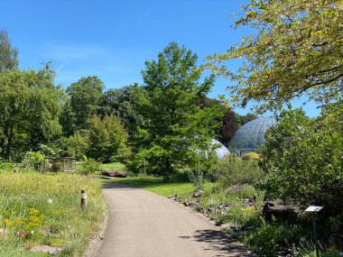 Zürih Üniversitesi Botanik Bahçesi veya Botanischer Garten der Universitat Zürih (Botanischer Garten der Universitat Zürih - Botanischer Garten der Universitaet Zuerich), İsviçre