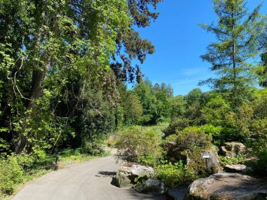 Zürih Üniversitesi Botanik Bahçesi veya Botanischer Garten der Universitat Zürih (Botanischer Garten der Universitat Zürih - Botanischer Garten der Universitaet Zuerich), İsviçre