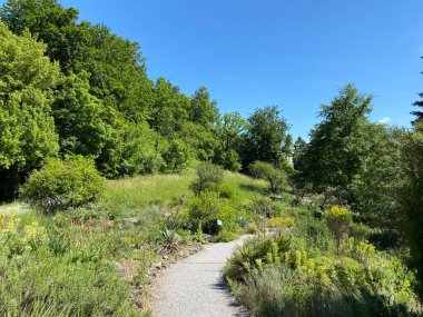 Zürih Üniversitesi Botanik Bahçesi veya Botanischer Garten der Universitat Zürih (Botanischer Garten der Universitat Zürih - Botanischer Garten der Universitaet Zuerich), İsviçre