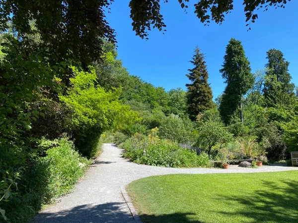 Giardino Botanico Dell Università Zurigo Botanischer Garten Der Universitat Zurich — Foto Stock