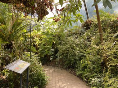 Zürih Üniversitesi Botanik Bahçesi veya Botanischer Garten der Universitat Zürih (Botanischer Garten der Universitat Zürih - Botanischer Garten der Universitaet Zuerich), İsviçre