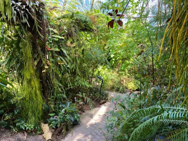 Zürih Üniversitesi Botanik Bahçesi veya Botanischer Garten der Universitat Zürih (Botanischer Garten der Universitat Zürih - Botanischer Garten der Universitaet Zuerich), İsviçre