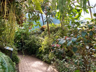 Zürih Üniversitesi Botanik Bahçesi veya Botanischer Garten der Universitat Zürih (Botanischer Garten der Universitat Zürih - Botanischer Garten der Universitaet Zuerich), İsviçre