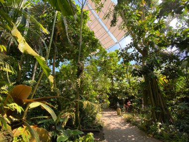 Zürih Üniversitesi Botanik Bahçesi veya Botanischer Garten der Universitat Zürih (Botanischer Garten der Universitat Zürih / Botanischer Garten der Universitaet Zuerich), İsviçre