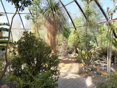 Zürih Üniversitesi Botanik Bahçesi veya Botanischer Garten der Universitat Zürih (Botanischer Garten der Universitat Zürih / Botanischer Garten der Universitaet Zuerich), İsviçre