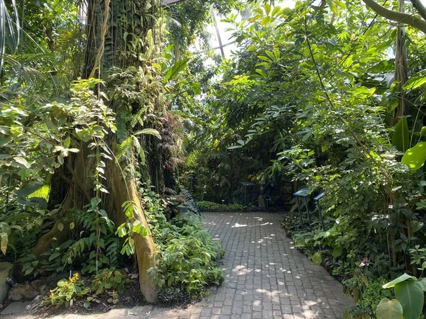 Zürih Üniversitesi Botanik Bahçesi veya Botanischer Garten der Universitat Zürih (Botanischer Garten der Universitat Zürih / Botanischer Garten der Universitaet Zuerich), İsviçre