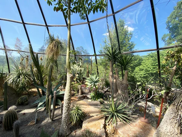 Botanical Garden University Zurich Botanischer Garten Der Universitat Zurich Botanischer — 图库照片