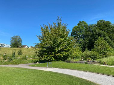 Zürih Üniversitesi Botanik Bahçesi veya Botanischer Garten der Universitt Zrich (Botanischer Garten der Universitat Zürih - Botanischer Garten der Universitaet Zuerich), İsviçre